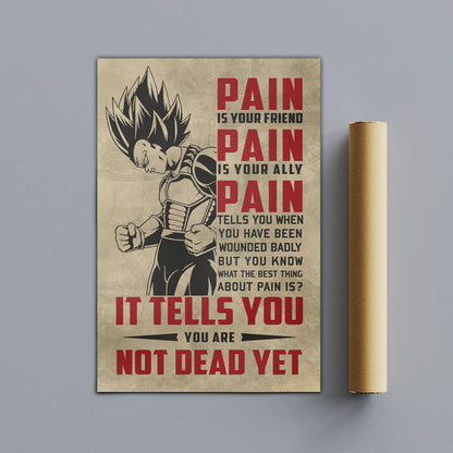 Dragon Ball Canvas Wall Art - DR016 - Super Saiyan Vegeta - Pain Is Your Friend