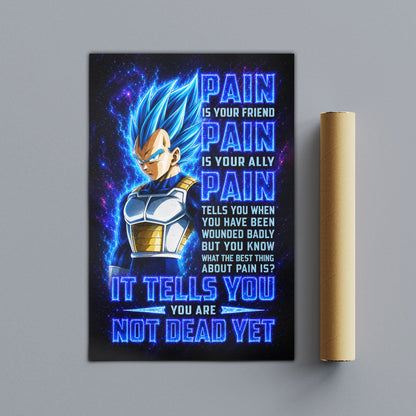 Dragon Ball Canvas Wall Art - DR102 - Super Saiyan Blue Vegeta - Pain Is Your Friend